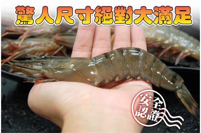 鹽人尺寸絕對大滿足。