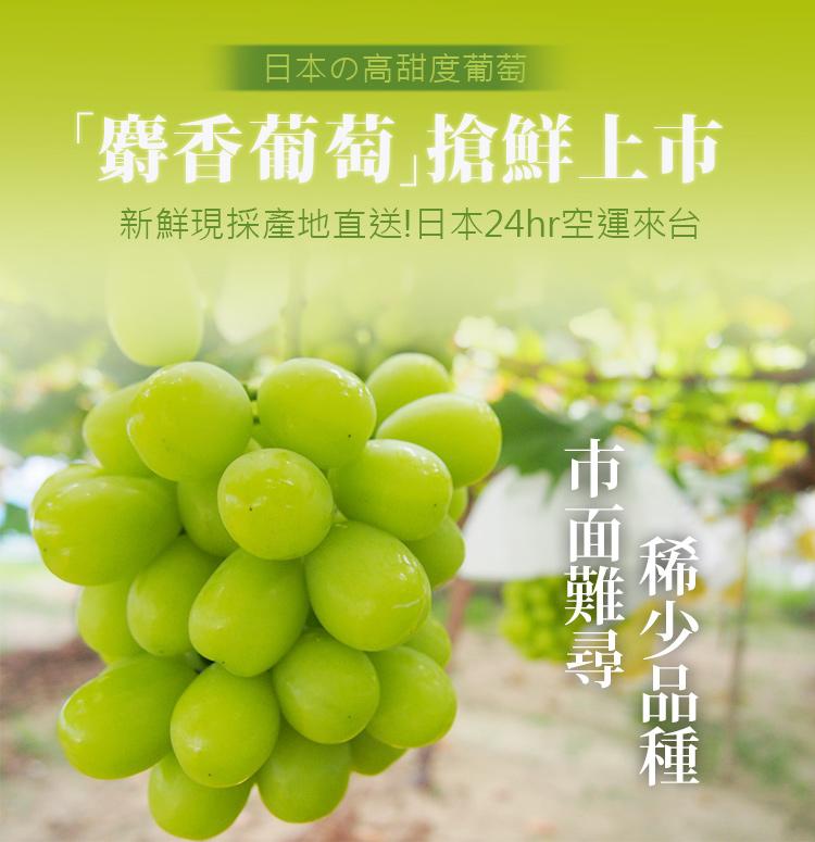 日本の高甜度葡萄，麝香葡萄搶鮮上市，新鮮現採產地直送!日本24hr空運來台，市面難尋，稀少品種。