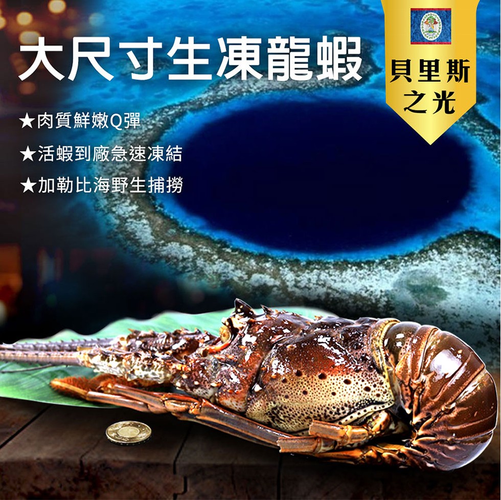 大尺寸生凍龍蝦，★肉質鮮嫩Q彈，★活蝦到廠急速凍結，★加勒比海野生捕撈，貝里斯。