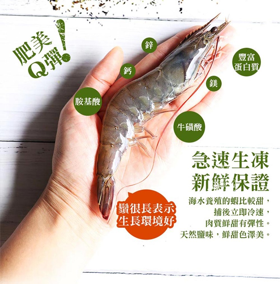 【胺基酸，鬚很長表示，生長環境好，牛磺酸，蛋白質，急速生凍，新鮮保證，海水養殖的蝦比較甜,捕後立即冷速,肉質鮮甜有彈性。天然鹽味,鮮甜色澤美。