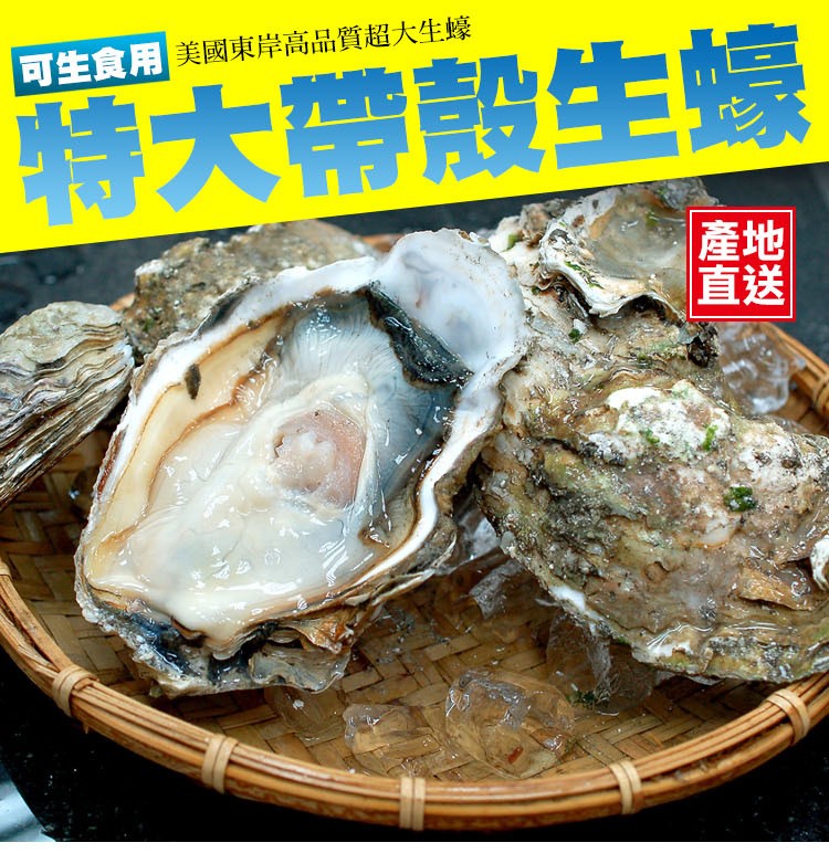 可生食用 美國東岸高品質超大生蠔，特大帶殼生蠔。