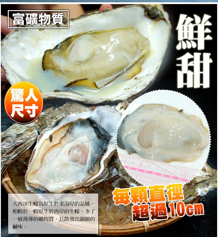 富礦物質，大西洋生蠔為原生於東海岸的品種,相較於一般原生於西岸的生蠔,多了，一層薄薄的礦物質,且散發出細緻的，鹹味。超過10cm®。