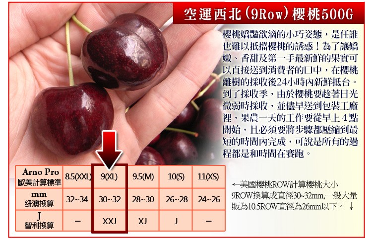 歐美計算標準，紐澳換算，智利換算，空運西北(9Row)櫻桃500G，櫻桃嬌豔欲滴的小巧姿態,是任誰，也難以抵擋櫻桃的誘惑!為了讓嬌，嫩、香甜及第一手最新鮮的果實可，以直接送到消費者的口中,在櫻桃，離樹的採收後24小時內新鮮抵台。到了採收季,由於櫻桃要