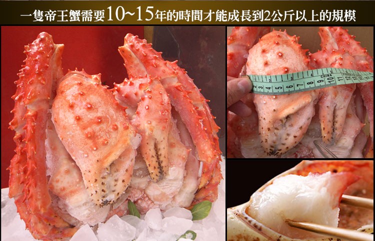 一隻帝王蟹需要10~15年的時間才能成長到2公斤以上的規模。