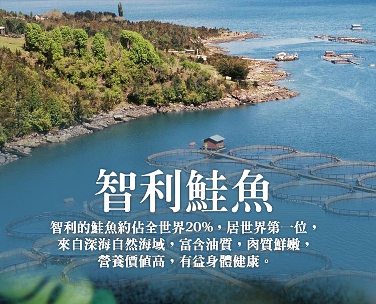 智利鮭魚，智利的鮭魚約佔全世界20%,居世界第一位,來自深海自然海域,富含油質,肉質鮮嫩,營養價值高,有益身體健康。