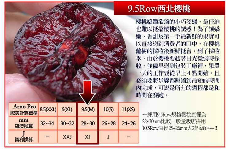 9.5Row西北櫻桃，櫻桃嬌豔欲滴的小巧姿態,是任誰，也難以抵擋樱桃的誘惑!為了讓嬌，嫩、香甜及第一手最新鮮的果實可，以直接送到消費者的口中,在櫻桃，離樹的採收後新鮮抵台。到了採收，季,由於櫻桃要趁著日光微弱時採，收,並儘早送到包裝工廠裡,果農，一天