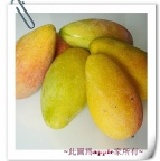 香甜多汁混血芒果-農民黨 預購中，約五月底六月初安排出貨 10斤