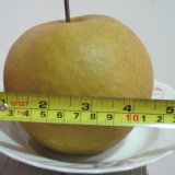 東勢高接梨-特8A 每顆重量約14兩~16兩