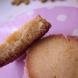 (手工餅乾) 法式椰香酥餅 100g / 100元 購滿20盒免運費滿30盒再打9折