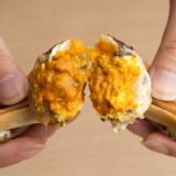 ~本土養殖大閘蟹~4.0~4.5兩每隻450元買十二送三喔!!! 特價：$5400