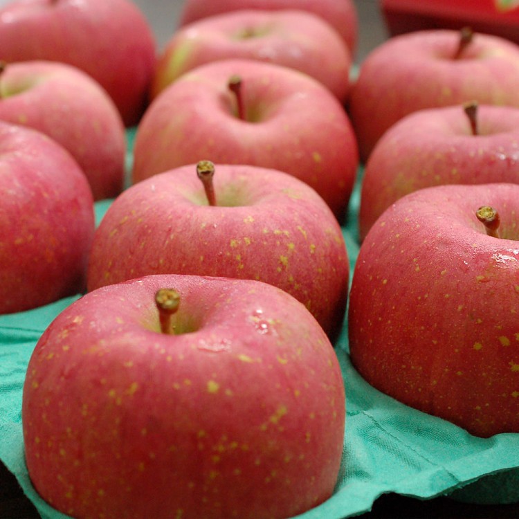 C2120【築地一番鮮】日本青森蜜富士蘋果皇后10kg(32顆/箱)