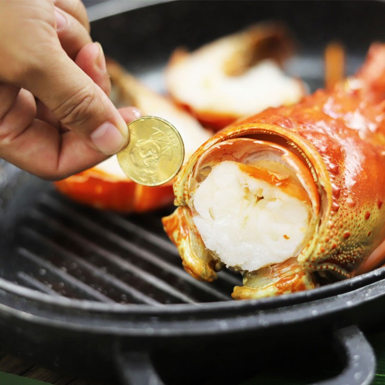 A2227【築地一番鮮】特大野生捕撈-貝里斯之光活凍特大龍蝦1尾(900G/尾)