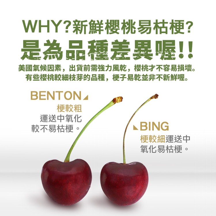 C1120【築地一番鮮】 9ROW盛夏華盛頓西北櫻桃