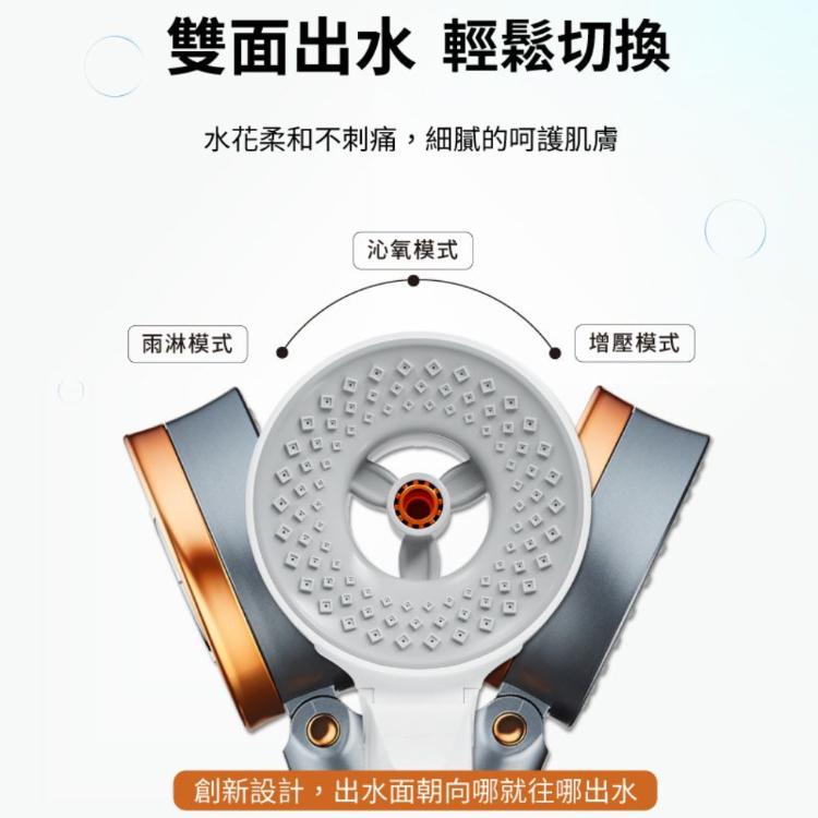 美國ELPHECO增壓除氯雙面蓮蓬頭 ELPH028S