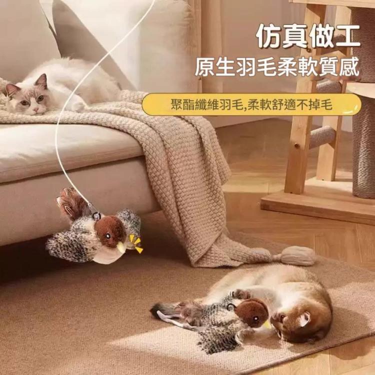 電動抖抖鳥貓狩獵自嗨神器