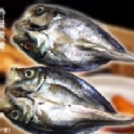 竹筴魚一夜干 -2隻/包