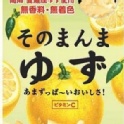 柚子皮絲糖 超好吃 最新超夯日本人氣零食