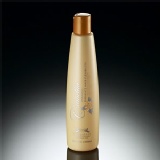 Corpsfeer (沙龍級) 椿油強健護色洗髮乳
