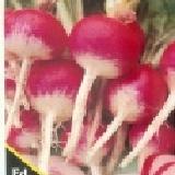 【美國進口蔬菜種子】迷你寶石蘿蔔，太美了！成長快速又可口，實在無可挑剔！