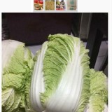 ”冬季限定”黃金泡菜