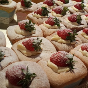 北海道草莓杯杯 特價：$250