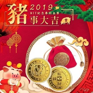 台灣製 豬年行大運開運金幣