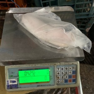 🌟 厚切大比目魚 (扁鱈魚切片)-有肚洞