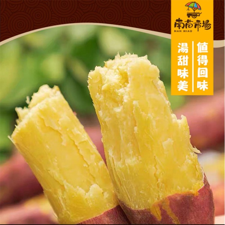 【南苗市場】栗子地瓜