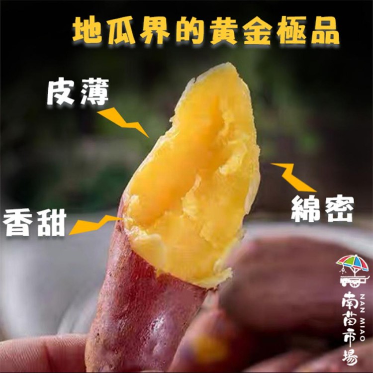 【南苗市場】栗子地瓜