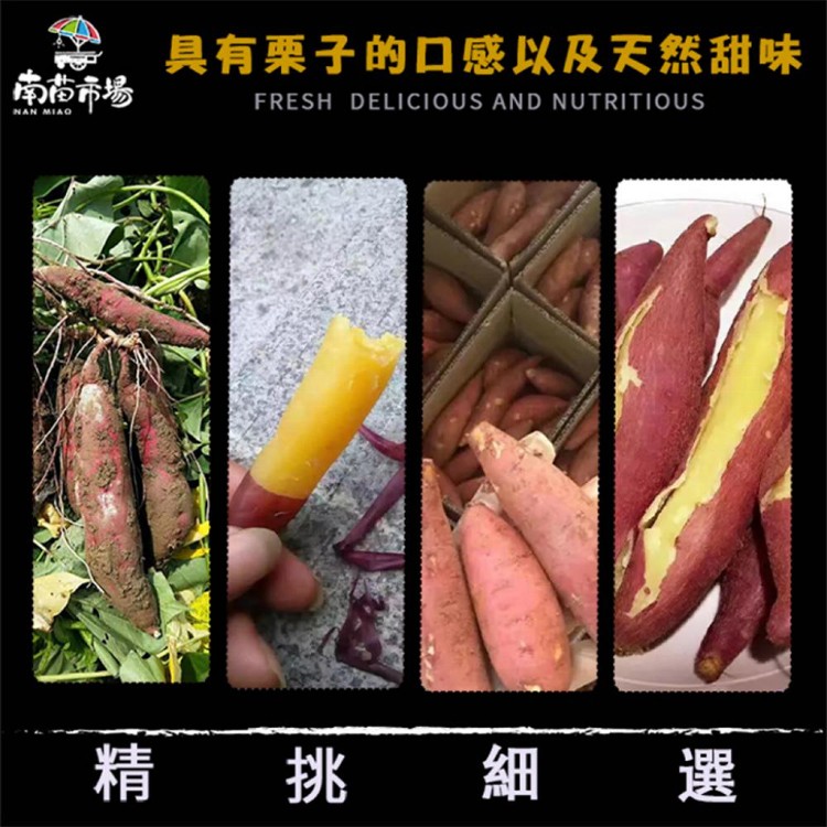 【南苗市場】栗子地瓜