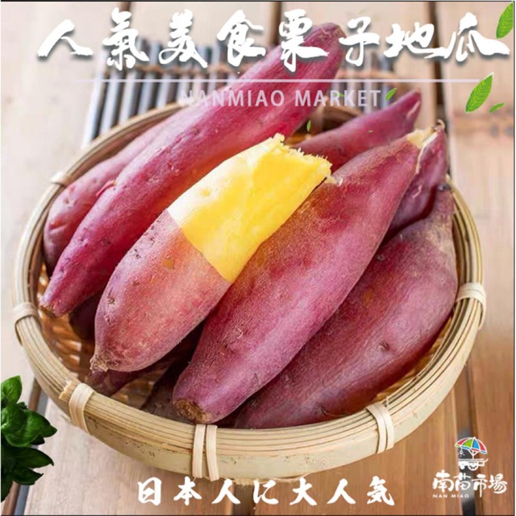 【南苗市場】栗子地瓜