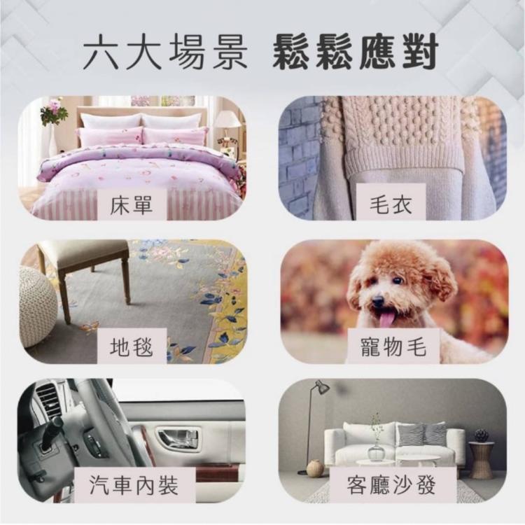 【南苗市場】乾濕兩用黏毛神器10入組