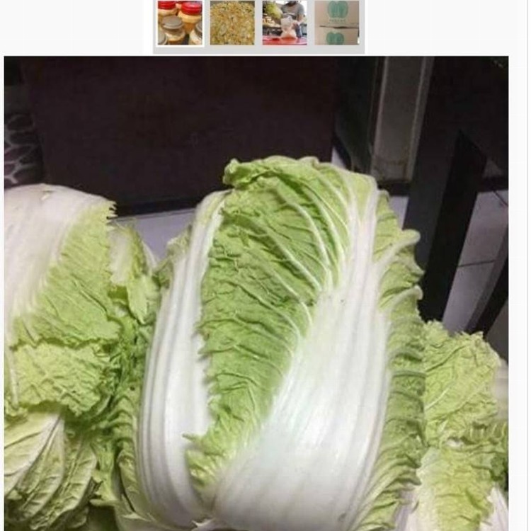 蜻蜓媽媽黃金泡菜（冬季限定）大瓶1200公克