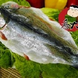 高山紅鱒 ~營養價值極優的紅肉魚~