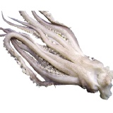 鮮凍魷魚鬚 ~燒烤熱炒皆宜~