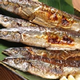 秋刀魚(特一級)