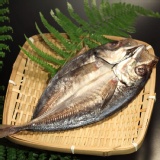竹筴魚一夜干