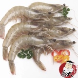 活凍白蝦 特價：$99