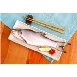 四指馬鲅魚(午仔魚)