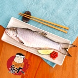 四指馬鲅魚(午仔魚)