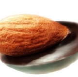 Flora 果乾巧克力-杏仁果口味 11/30買二送一大優惠~大顆的杏仁果搭配比利時的頂級巧克力~獨特的口感及香脆~就等您來品嚐~