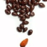 Flora 杏仁豆巧克力 嚴選完整香脆杏仁裹上香濃巧克力~不過錯過的好滋味!!! 特價：$85