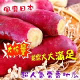 海之醇 ※ 栗香地瓜大份量 800g ※