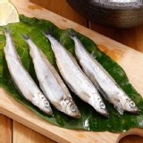 海之醇 ※ 爆卵柳葉魚 ※