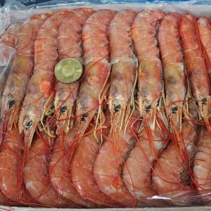 免運!【生食級】2公斤巨無霸刺身級天使紅蝦/約30~36隻 2000公克/盒。約30~36隻裝 (3盒，每盒1104.4元)