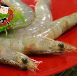 活凍白蝦 15~18尾 特價：$99