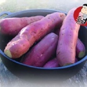 日光地瓜 特價：$119