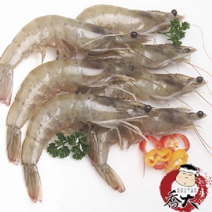 活凍白蝦