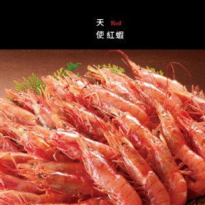 最大級~天使紅蝦2KG