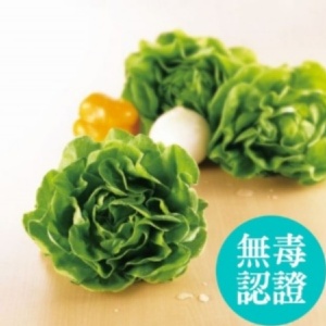 無毒(有機)蔬菜
